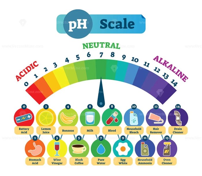 Milady chapter ph scale isbn nail standard technology buy