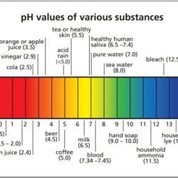 The ph scale is milady