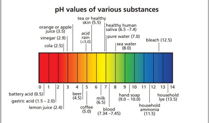 The ph scale is milady