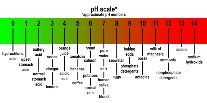 Ph scale acid base water alkaline background graphic vs does graph offer special skin safety health selfhacked wellness preview