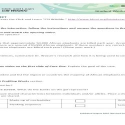 Csi wildlife worksheet 2 answer key