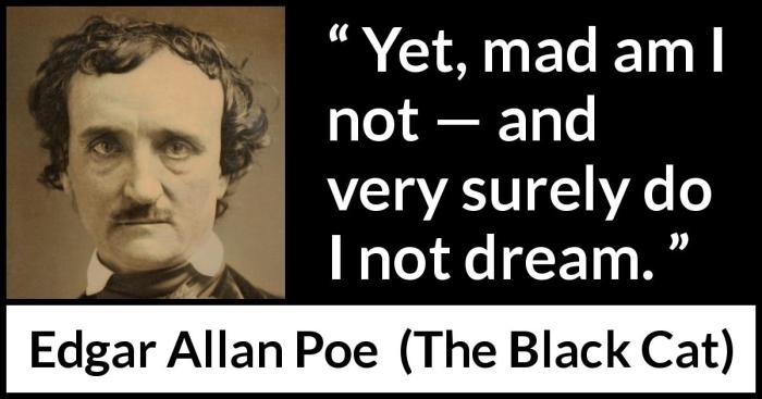 Edgar allan poe the black cat quotes