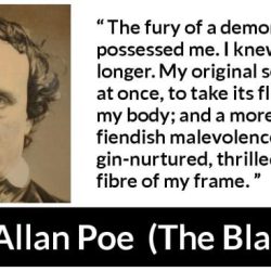 Edgar allan poe the black cat quotes