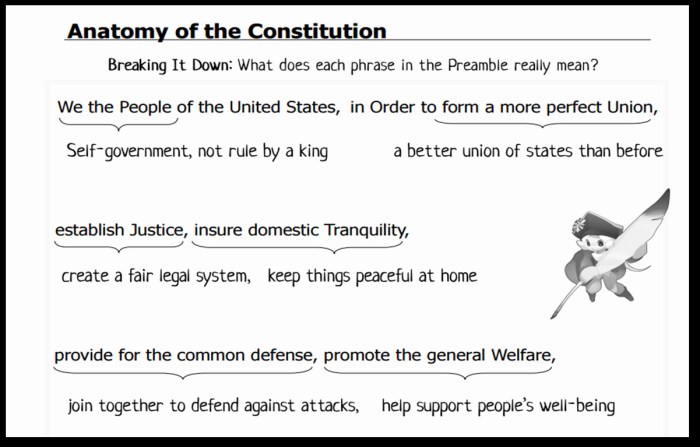 Anatomy of the constitution worksheet