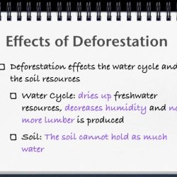 Ap environmental science unit 2 test