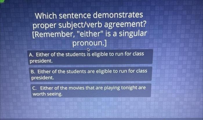 Which sentence demonstrates correct subject verb agreement