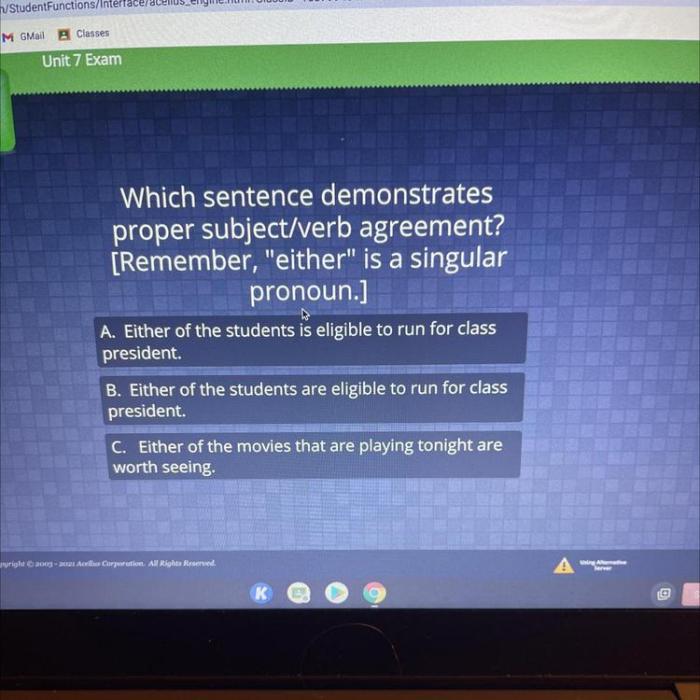 Which sentence demonstrates correct subject verb agreement