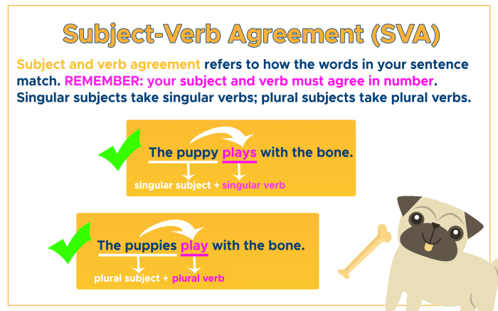 Which sentence demonstrates correct subject verb agreement