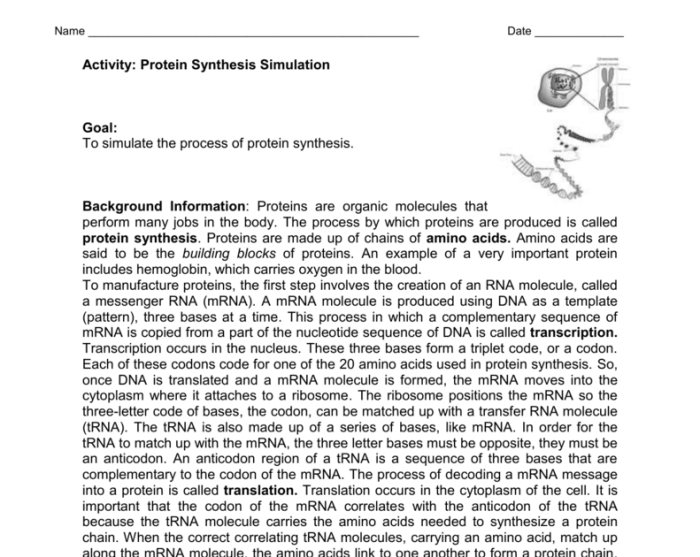 Protein synthesis escape room answer key pdf