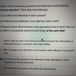 Which of the following scenarios illustrates an order winner