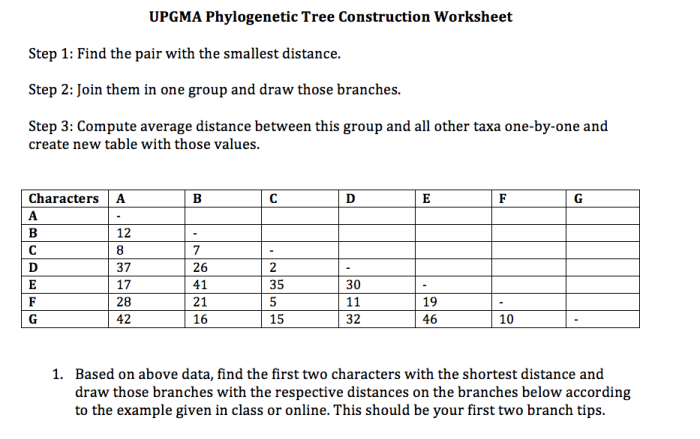 Phylogenetic tree practice worksheet with answers